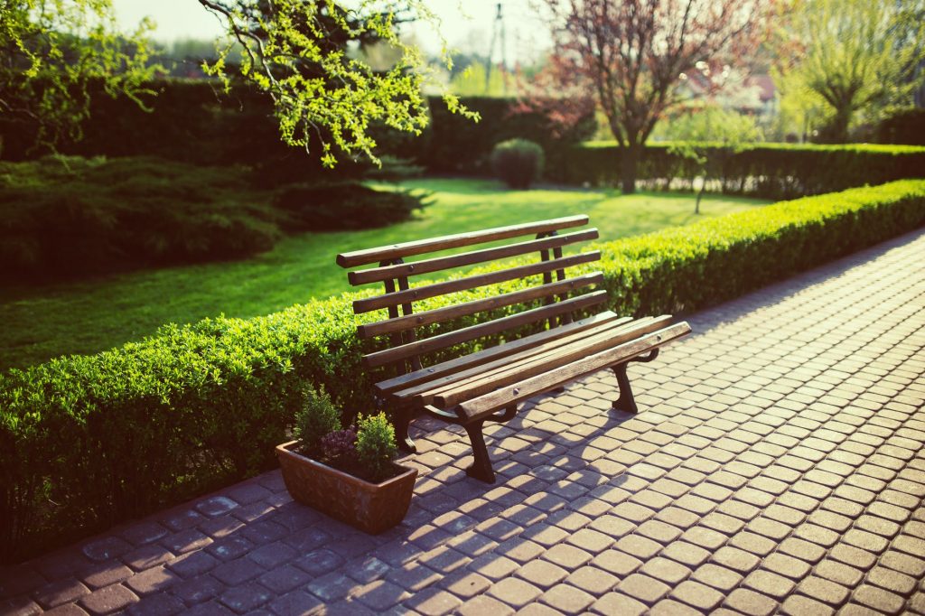 Bladverliezende hagen als erfafscheiding in een tuin met bank op grasveld tijdens zonsondergang