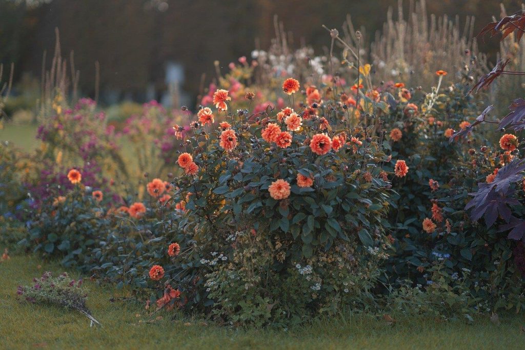 Groencentrum Ballymena peat bulk bags voor bodemverbetering en tuinonderhoud bij tuinliefhebbers