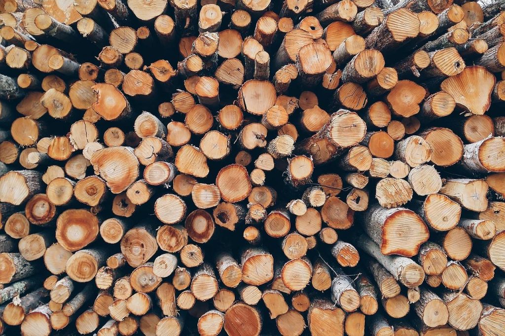 Houten tuinoverkapping in natuurlijke omgeving die de ecologische effecten van houtgebruik demonstreert