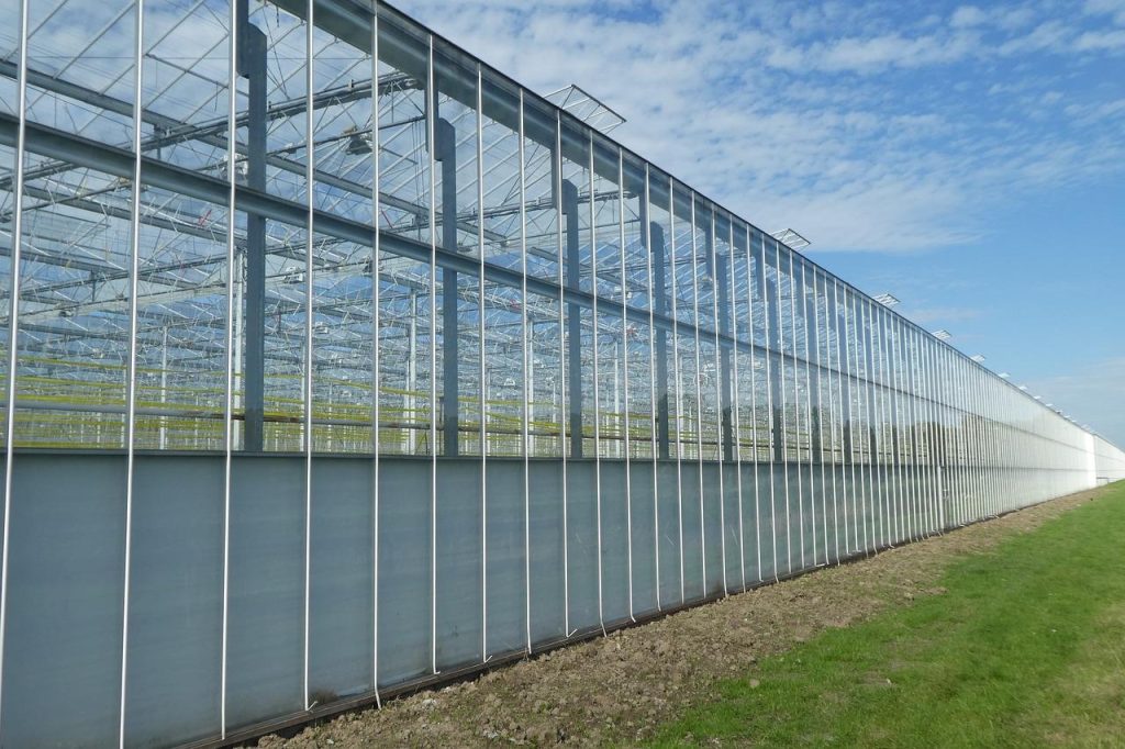 Duurzaam compostvat kopen voor natuurlijke meststof en afvalvermindering in je tuin
